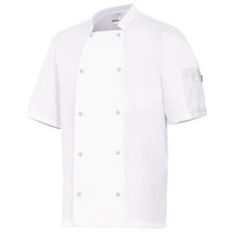 405205 / CHAQUETA COCINA MC