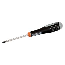 Destorni Robertson Punta 1